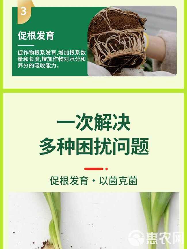 番茄疫菌清正品炭疽灰霉白粉果腐早疫通用型西红柿专用微生物菌剂