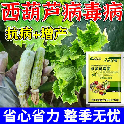 栾川县西葫芦病害专用炭疽病银叶病软腐病叶枯病白粉病西葫芦专用肥料