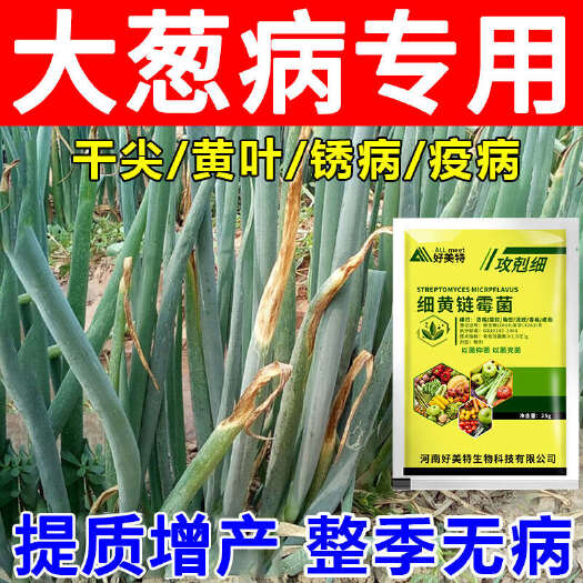 栾川县好美特大葱病全治大葱干尖黄叶灵杀菌剂小香葱蒜根腐白斑锈病菌清
