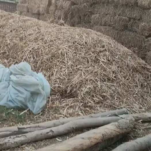 杞县新秸秆方捆现货