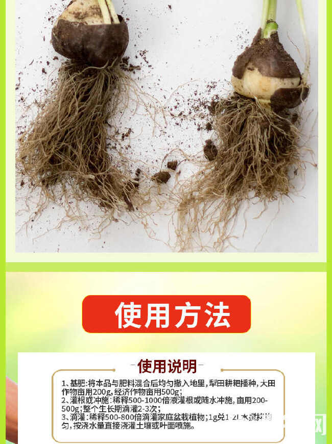 番茄疫菌清正品炭疽灰霉白粉果腐早疫通用型西红柿专用微生物菌剂