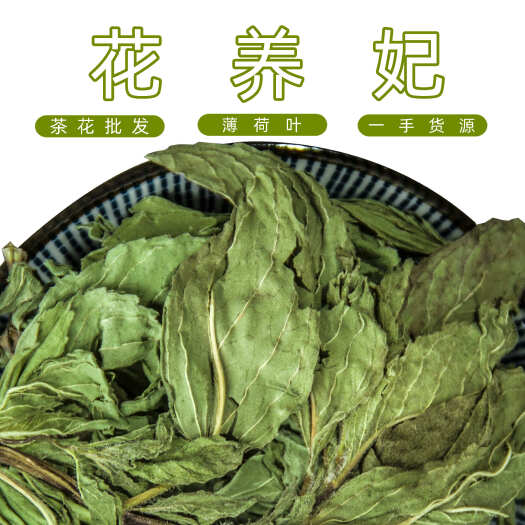 安国市薄荷叶茶 薄荷茶薄荷叶新鲜食用泡水干薄荷花草茶泡茶清凉茶