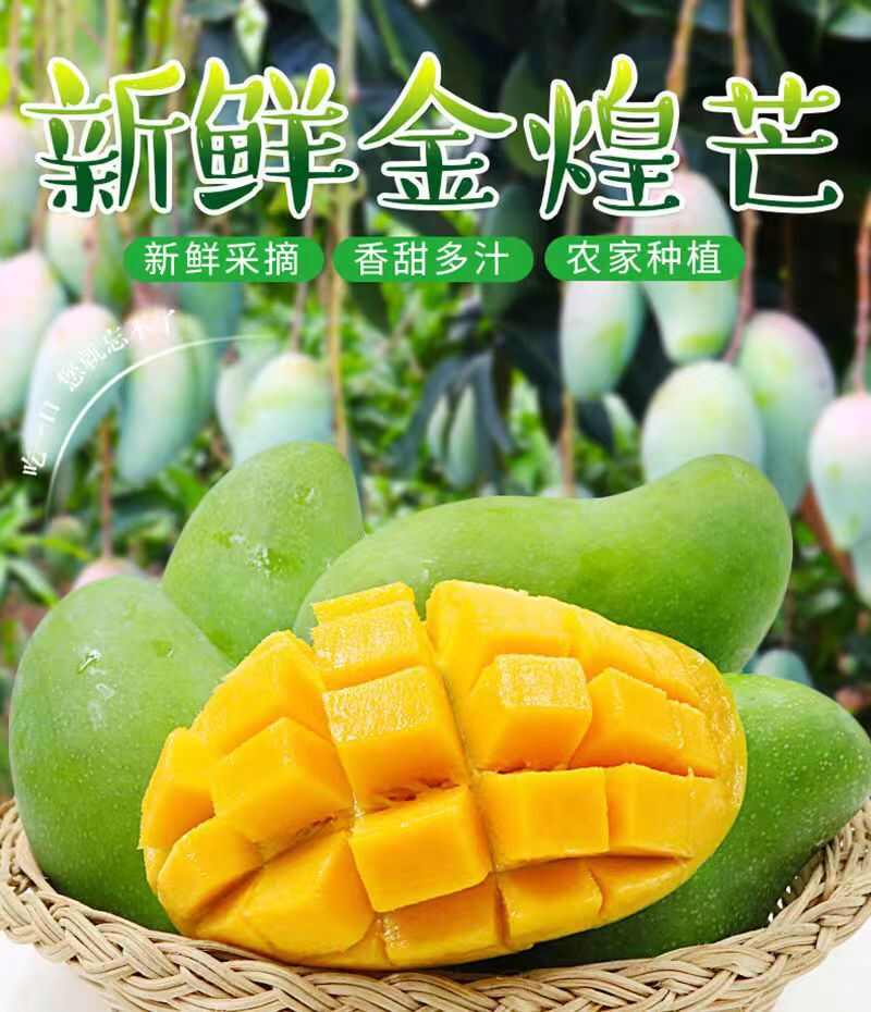 广西金煌芒落地配，市场，社区团购，整车，代办，电商一件代发