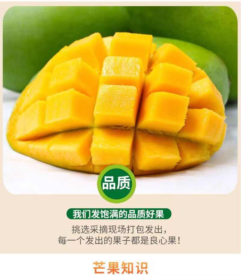 广西金煌芒落地配，市场，社区团购，整车，代办，电商一件代发