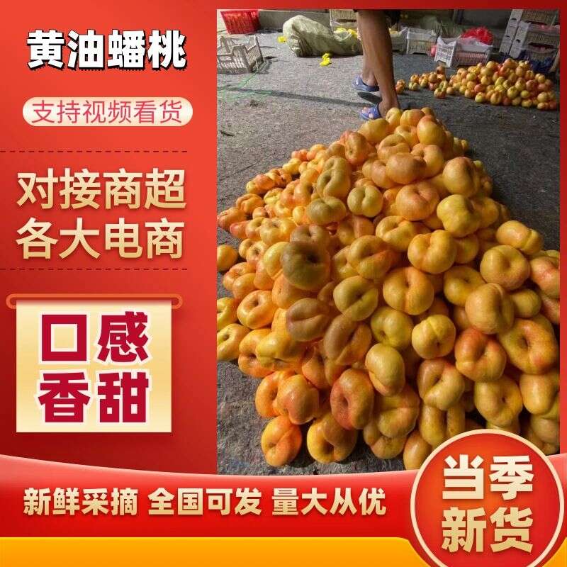 山东蒙阴山东蒙阴彩虹油蟠桃对接市场电商一件代发