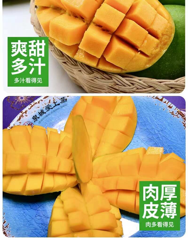 广西百色金煌芒原产地一手货源整车代办落地配