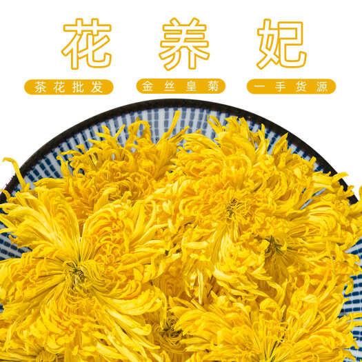 安国市花养妃 金丝皇菊 500g大朵散装金丝黄菊菊花茶 新货青驰菊