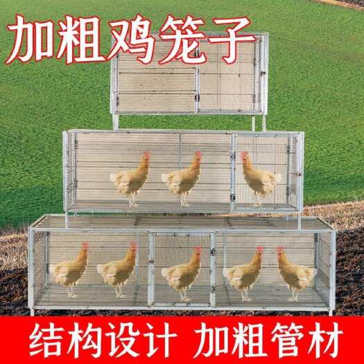 开原市畜牧养殖设备 鸡鸭鹅兔鸽子养殖笼