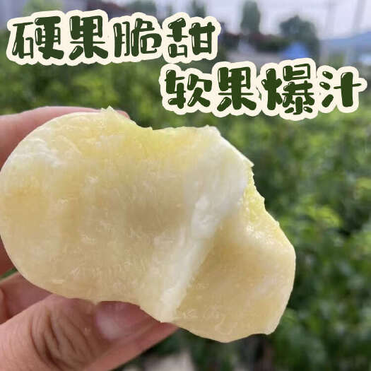 长沙奶油蟠桃有机种植，不使用化肥，一件代发净重5斤装
