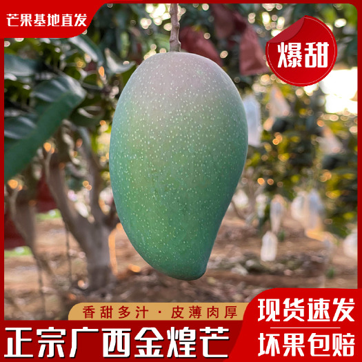 长沙广西金煌芒落地配，市场，社区团购，整车，代办，电商一件代发
