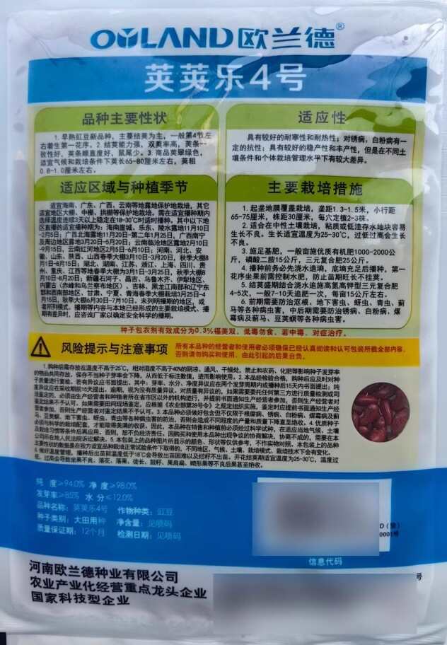 早熟耐低溫豇豆種子莢莢樂4號耐寒早春冬翠綠油豇豆長豆角種子