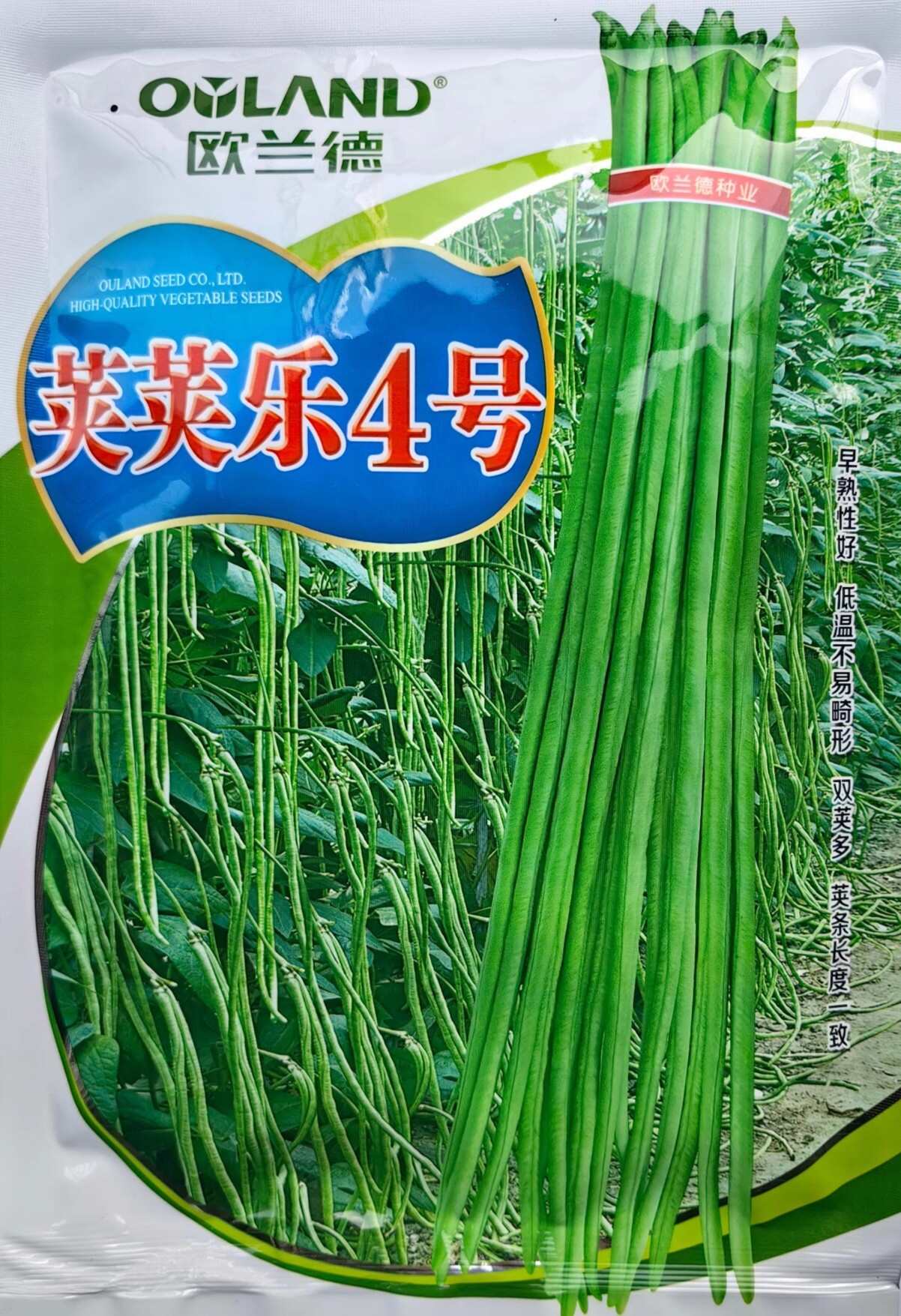 早熟耐低溫豇豆種子莢莢樂4號耐寒早春冬翠綠油豇豆長豆角種子