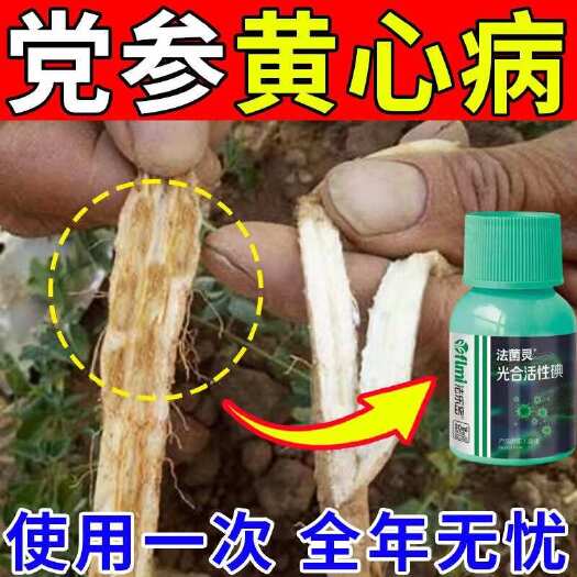 栾川县党参黄心病药党参病全治根腐病紫纹羽病黄叶枯萎病锈病专用杀菌剂