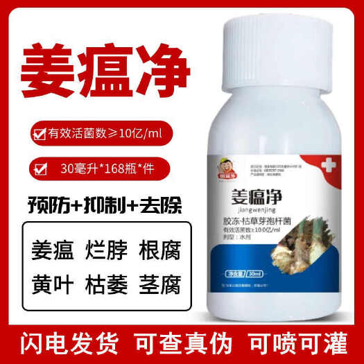 宁陵县生姜姜瘟病大姜药烂脖子大姜基腐病黄叶姜瘟生姜大姜治姜瘟正品药
