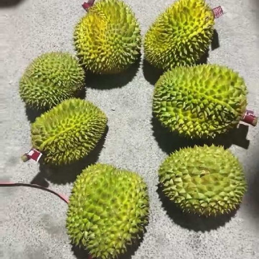 南宁榴莲