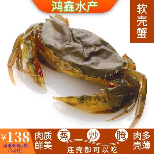 湛江鸿鑫水产软壳蟹蒸煮炸炒免剥壳鲜活冷冻7只700克餐饮商用家庭