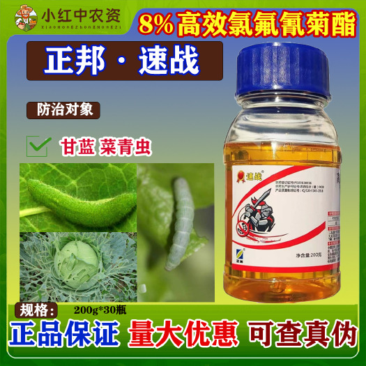 乐亭县江西正邦金速战8%高效氯氟氰菊酯打虫药农用打药菜青虫金针虫地