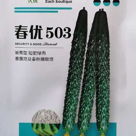 漯河春优503黄瓜种子 油亮早熟 短把绿肉 皮色黑亮 春露地种植