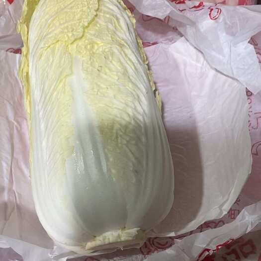 广州优质黄心菜