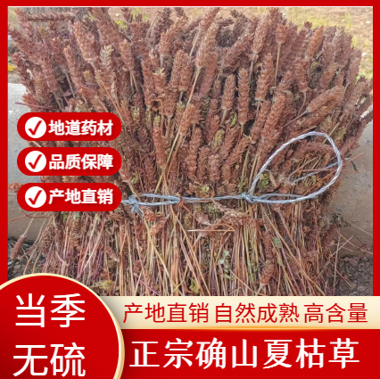 确山县【好评%99.9】夏枯球全草，原始工艺，纯粹草本香，产地直达