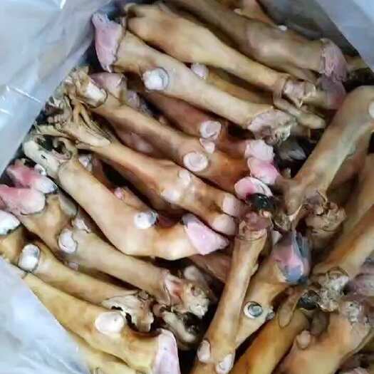 蠡县火燎羊蹄带皮带筋新鲜冷冻规格齐全大小都有批发商用