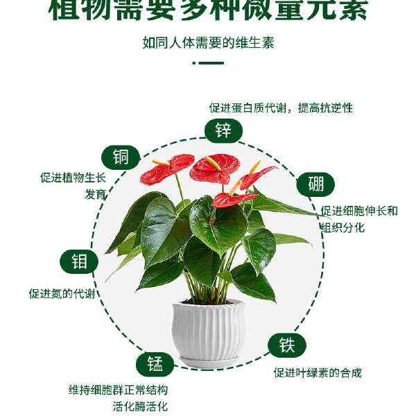 植挥官肥料六元素微量元素水溶肥瓜果蔬菜500ml/瓶促花促果