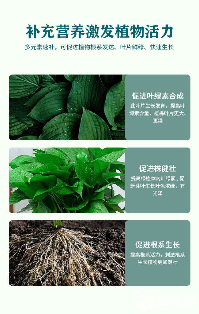 植挥官肥料花卉绿植蔬菜瓜果微量元素锰锌铁硼钼改善黄叶叶片鲜绿