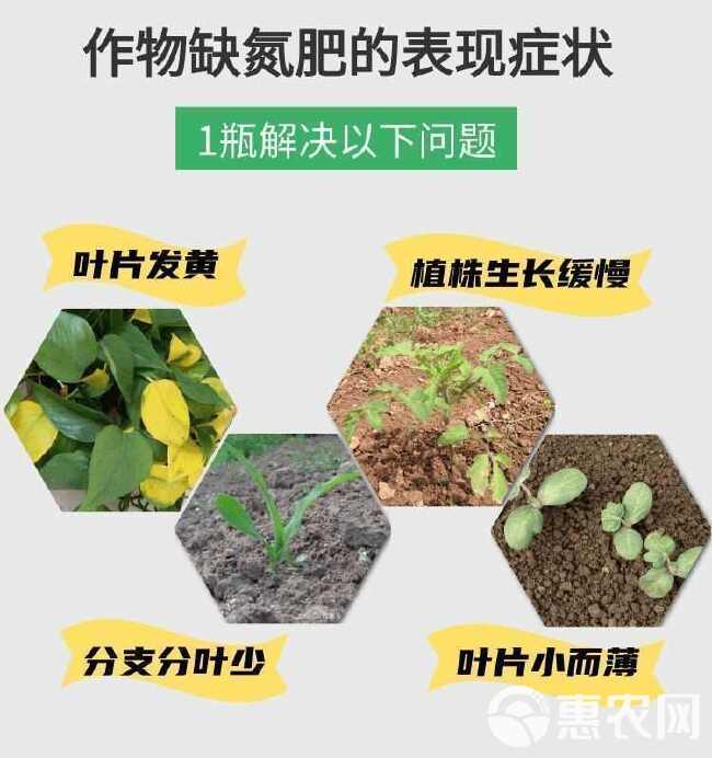 黑金氮螯合液体氮肥茶叶果树玉米小麦水稻蔬菜有机水溶肥料氮肥