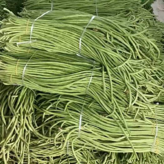 施甸县质量保证，新鲜蔬菜！
