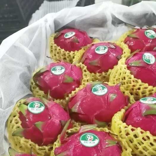 长沙精品红心火龙果，产地直发，一手货源，承接超市，市场，电商