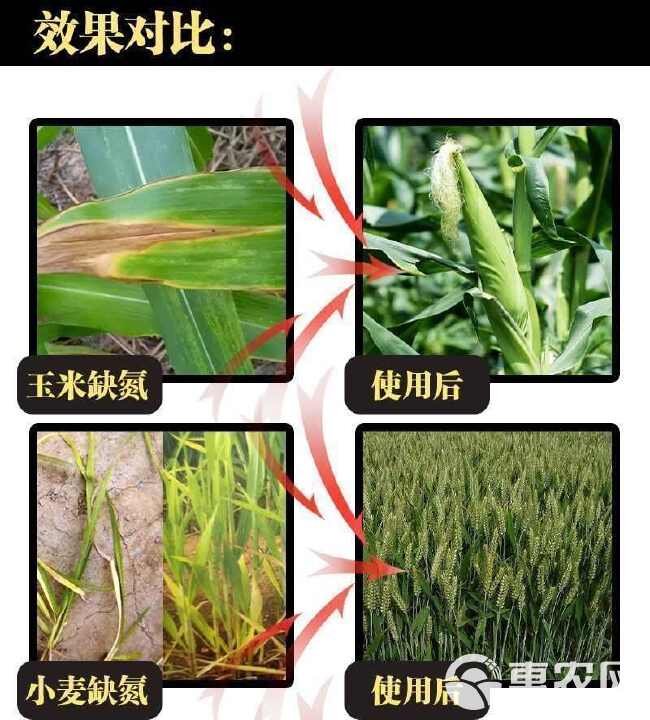 黑金氮螯合液体氮肥茶叶果树玉米小麦水稻蔬菜有机水溶肥料氮肥