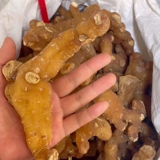 玉林黄精选货产地批发 各种规格 新鲜黄精专业加工批发可一件代发