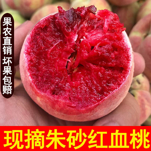桐柏县桐柏朱砂红血桃 果肉紫红，离核香浓晚熟品种5斤一件代发