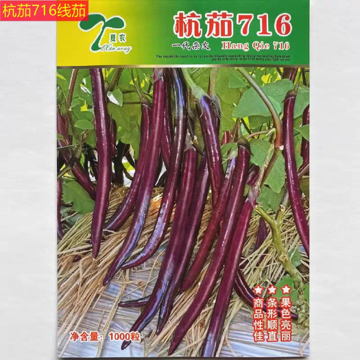 杭州杭茄716线茄种子 早熟 果形顺直 耐高温 果肉洁白软糯 采