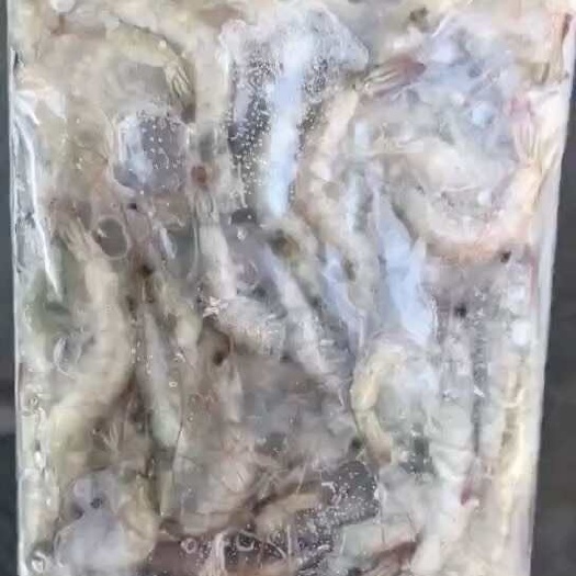 天然虾