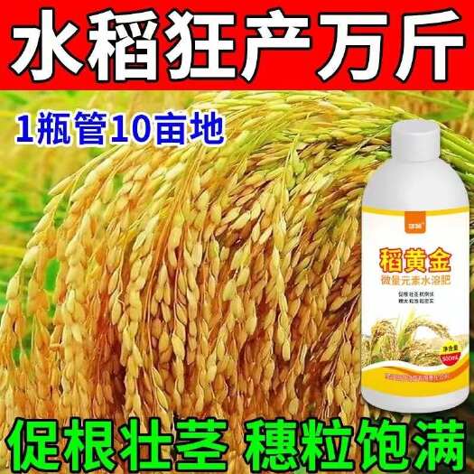 栾川县水稻黄金增产剂穗氨基酸微量元素叶面肥抗倒伏分蘖返青灌浆肥早熟