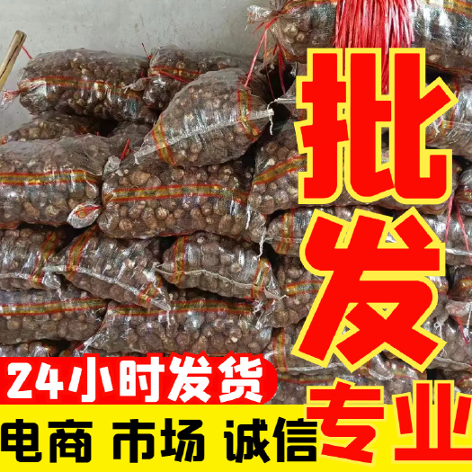 莒县山东毛芋头 8520芋头 豆包芋头芋头种产地直供(全国发货)
