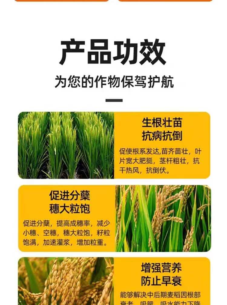 水稻黄金增产剂穗氨基酸微量元素叶面肥抗倒伏分蘖返青灌浆肥早熟