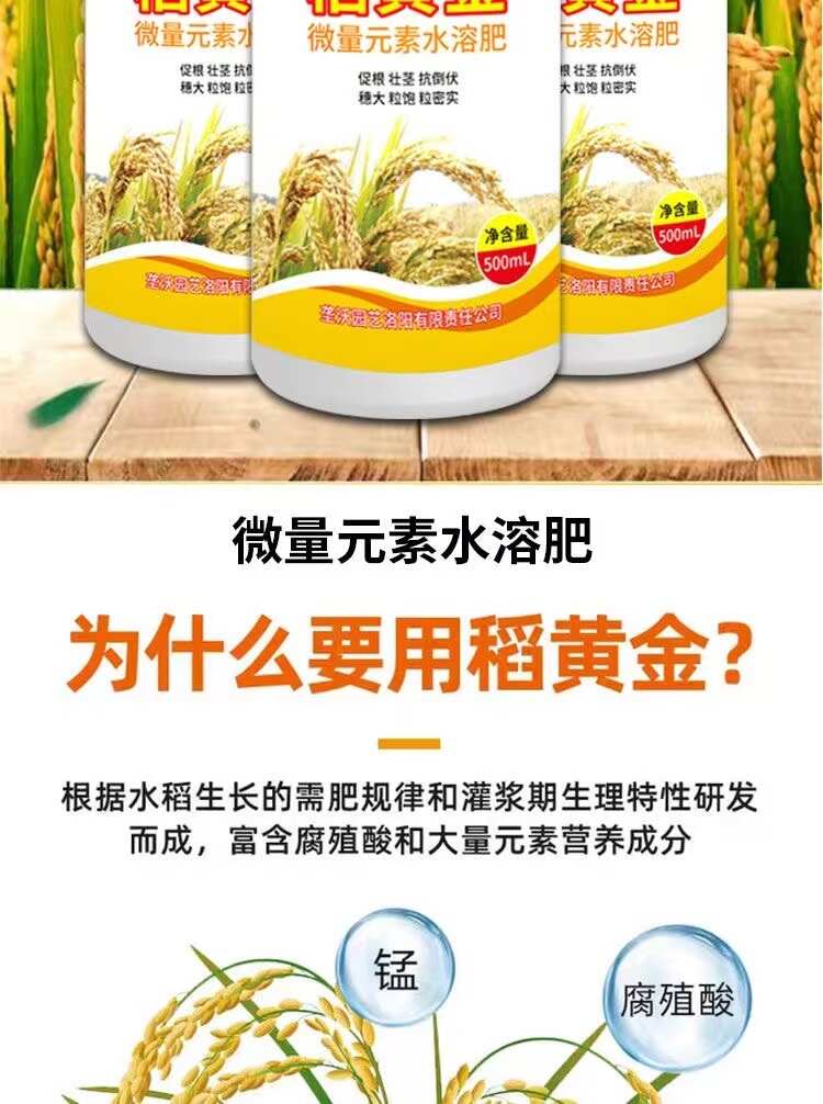 水稻黄金增产剂穗氨基酸微量元素叶面肥抗倒伏分蘖返青灌浆肥早熟