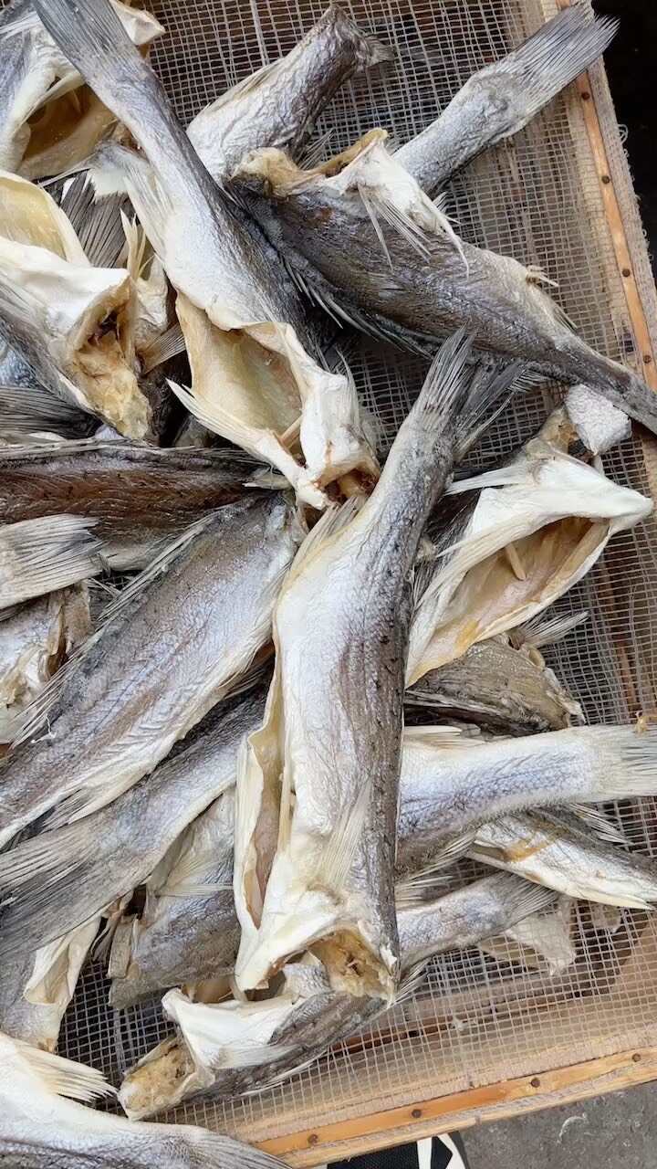 海鲈鱼干 展会 地摊 电商 无头海鲈鱼干 鲈鱼片 开肚海鲈鱼
