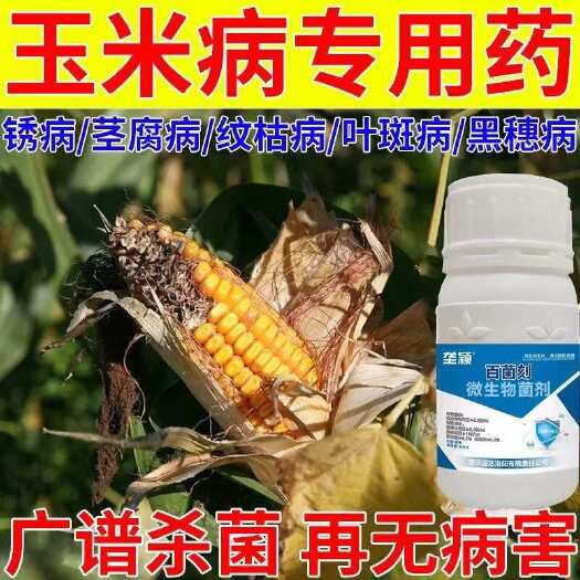 栾川县玉米卷叶病药展叶剂叶斑病黄叶病枯萎干旱卷叶专用药玉米叶面肥