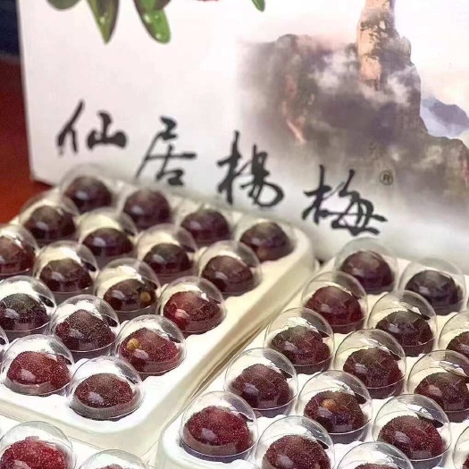 仙居县仙居东魁杨梅 48颗粒装  顺丰空运  精选品质 现货速发