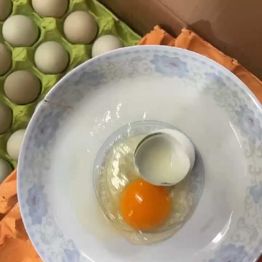 南昌南昌土鸡蛋新鲜现发农户直销蛋品保证优质营养富含赣地精华