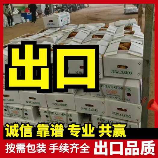 莒县大黄姜 质量优质 出口标准 全年有货 经验丰富