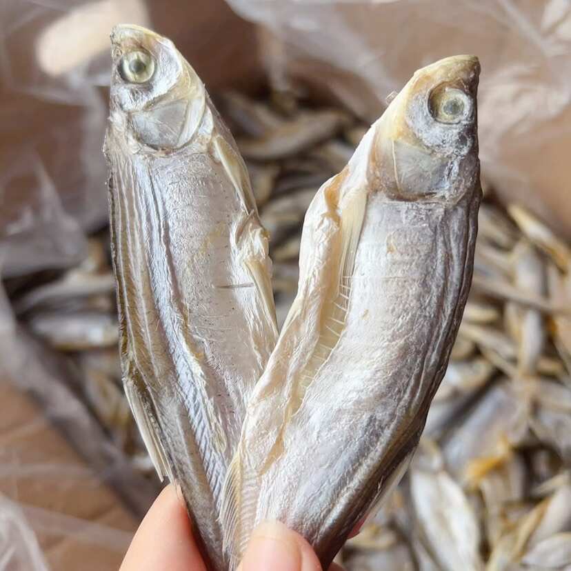 生晒淡干白条鱼干 展会 地摊 电商 刁子鱼干 批发 餐条鱼干