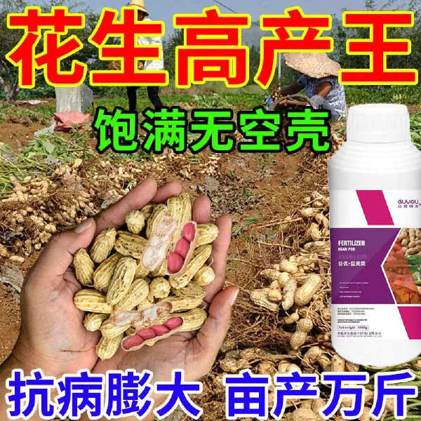 豆美荚增根壮秧颗粒饱满抗菌抗逆花生大豆豆类增产