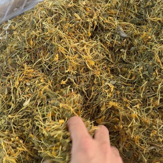 玉林云南金银花 产地直销 可一件代发包邮