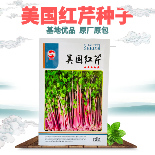 武汉美国香芹种子 红芹菜种籽红色紫色野生 盆栽蔬菜阳台冬季四季种
