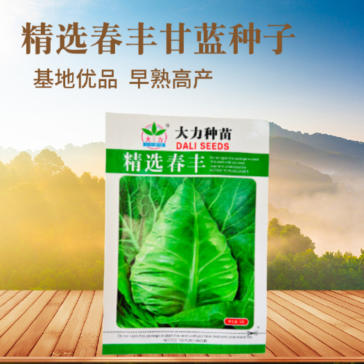 武汉大力种苗精选春丰牛心甘蓝种子早熟春甘蓝抗病性好杂交甘蓝种籽孑