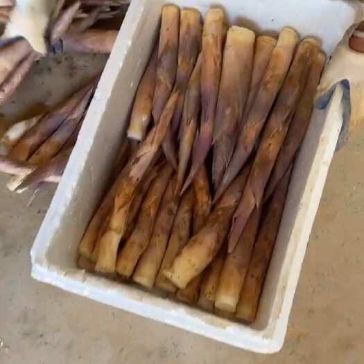 精品鞭笋、黄泥笋，